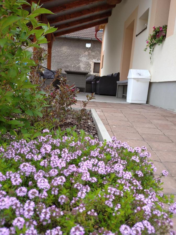 Apartmany Opolany Bagian luar foto