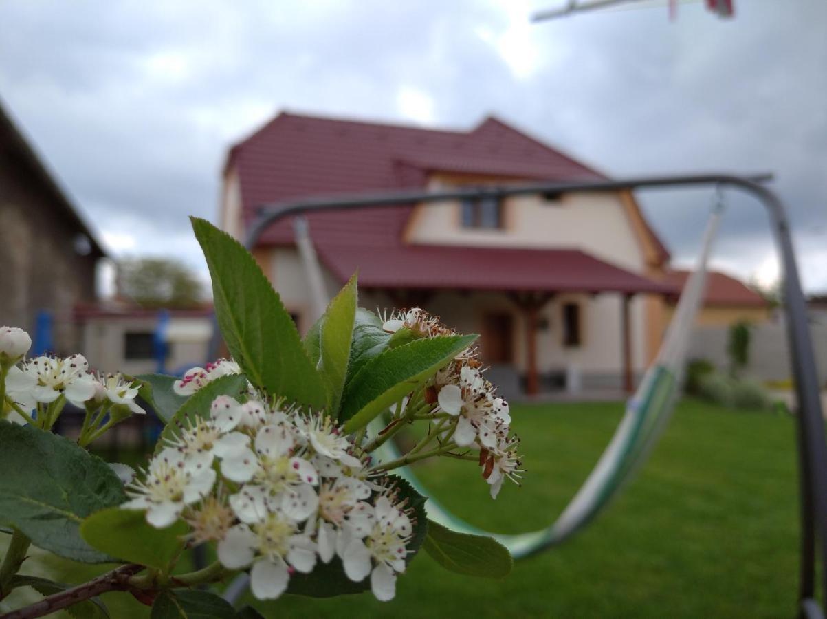 Apartmany Opolany Bagian luar foto